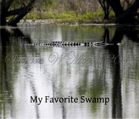 2011 Swamp Book