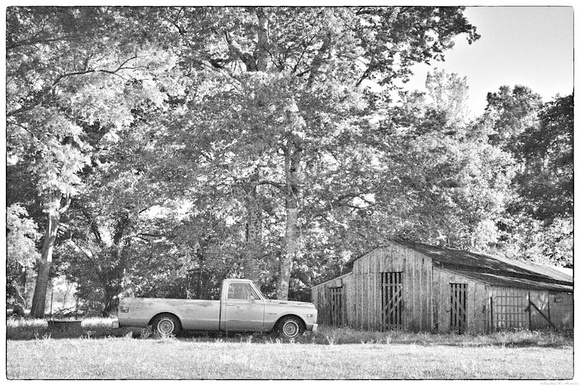 192 with barn BW S20 layers