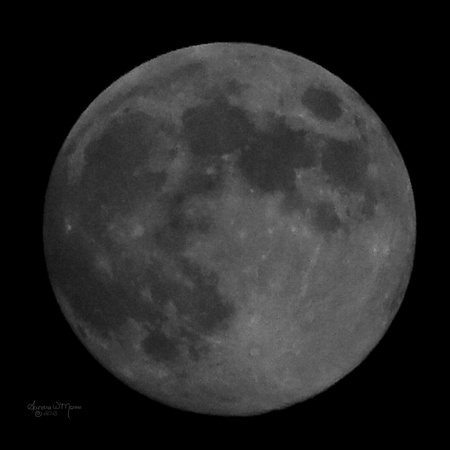 7464 full moon cropped 10x10
