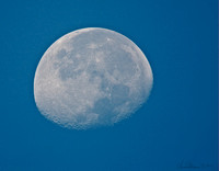 5321 moon LTM.Clarity.Contrast crop 091214