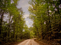 1691 country road _00001
