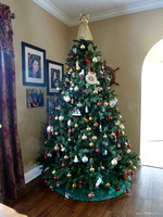 11/25/11 Christmas Tree